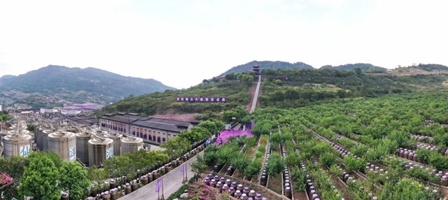 从一坛好酒,到一程旅途:酒城酒庄微醺漫游指南公布(图1) 1.jpg
