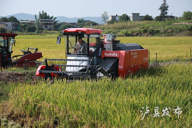 泸县“田间阅卷”开考!“考生”已就位→(图2) 2.jpg