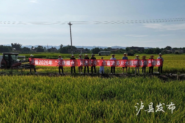 泸县“田间阅卷”开考!“考生”已就位→(图9) 9.jpg