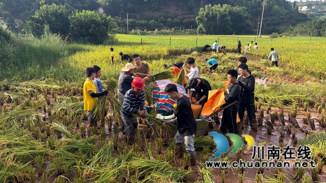 纳溪区护国中学:四年“稻”路,践行“健康第一”理念(图7) 7.jpg