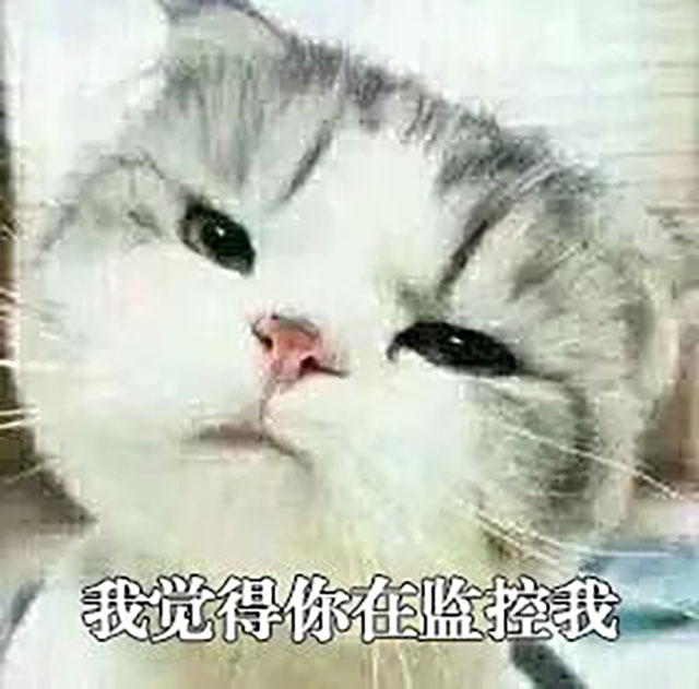 立秋了,别着急“贴秋膘”!先做好这4件事,舒服过一秋(图1) 1.jpg