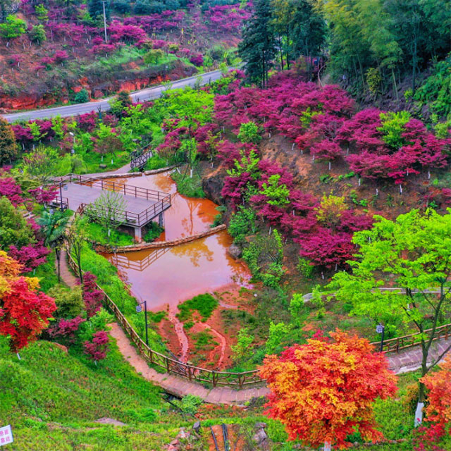 酒城立秋|一半盛夏余温,一半大地丰收(图9) 9.jpg