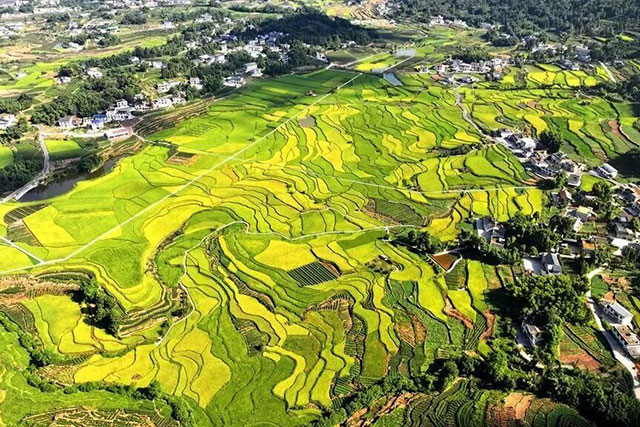 酒城立秋|一半盛夏余温,一半大地丰收(图10) 10.jpg