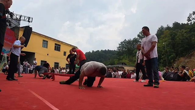 15.jpg