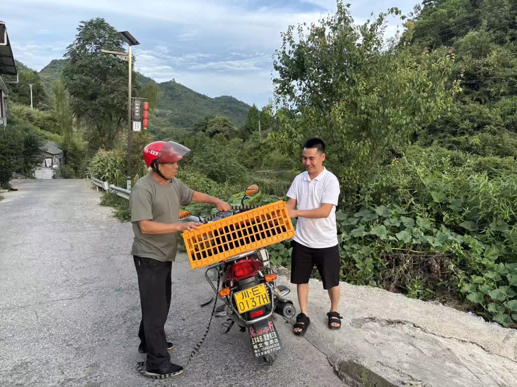 扎根大山腹地 联动周边发展┃白泥镇打造古蔺麻辣鸡“第一车间”观察(图5) 5.jpg