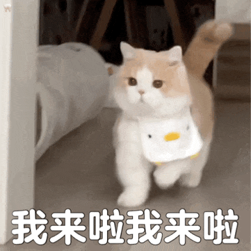 夏天不敢抬胳膊?别让“腋下小情绪”毁了您的社交自信!(图2) 2.gif