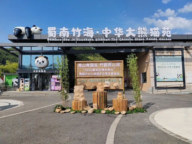 首次联动!宜宾蜀南竹海举行大熊猫生日季丰容活动(图1) 1.jpg