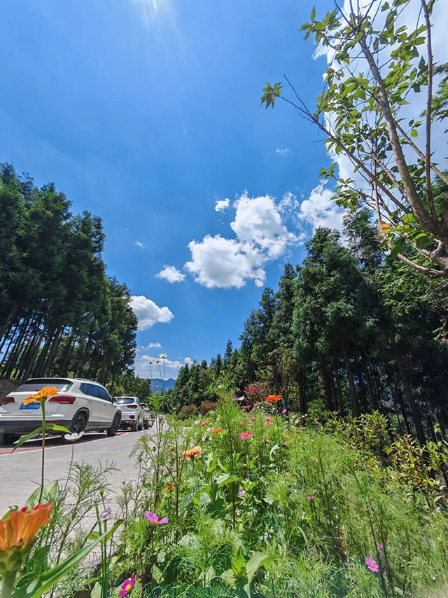 夏天平均20多度,宜宾这些山直接冲!(图11) 11.jpg