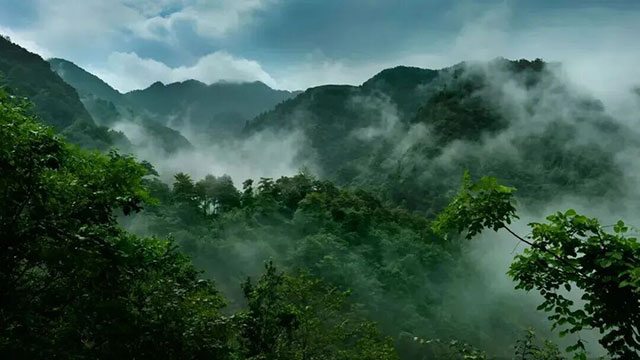 夏天平均20多度,宜宾这些山直接冲!(图14) 14.jpg