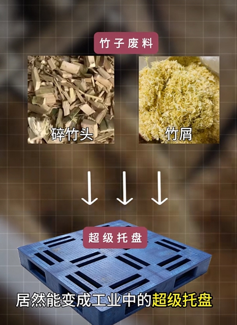 泸州时为招聘|诚聘!“竹基托盘”项目技术总监(图3) 时3.jpg