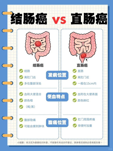 垃圾2.jpg