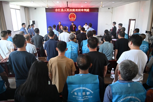 鱼4.jpg