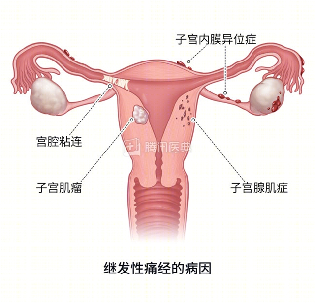 子6.jpg