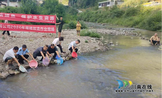 叙永:科学增殖放流修复水生态,持续守护赤水河流域生物多样性(图1) 鱼2.png