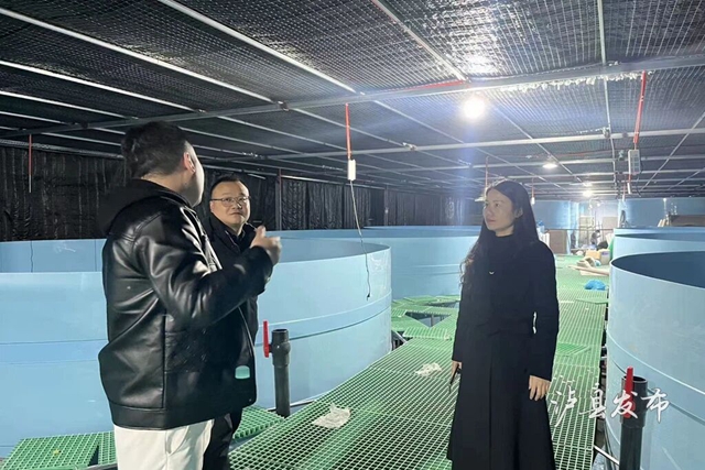 从“沉睡资产”到“鲈鱼满池”!泸县这波操作绝了(图2) 鱼2.jpg