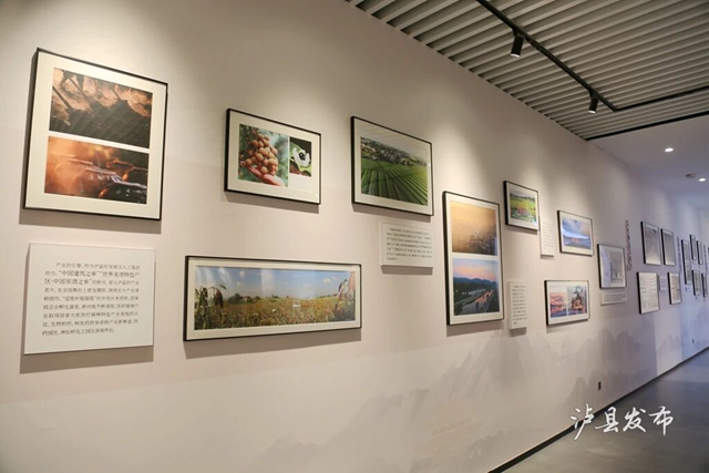 就在泸县诗书画院!55幅写生作品定格龙城风景(图4) 4.jpg