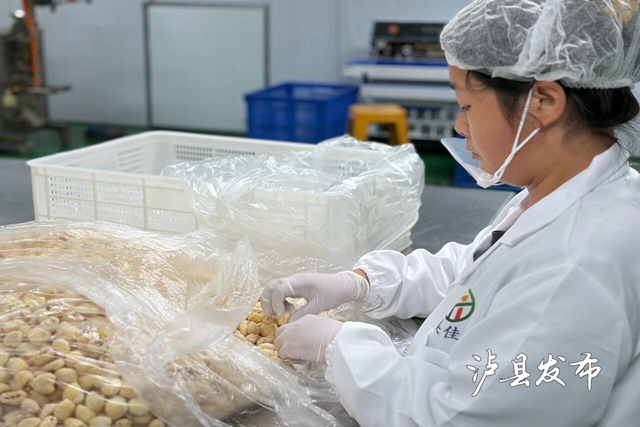 预计销售额超800万!泸县龙眼深加工产品成市场“新宠”(图7) 桂圆7.jpg