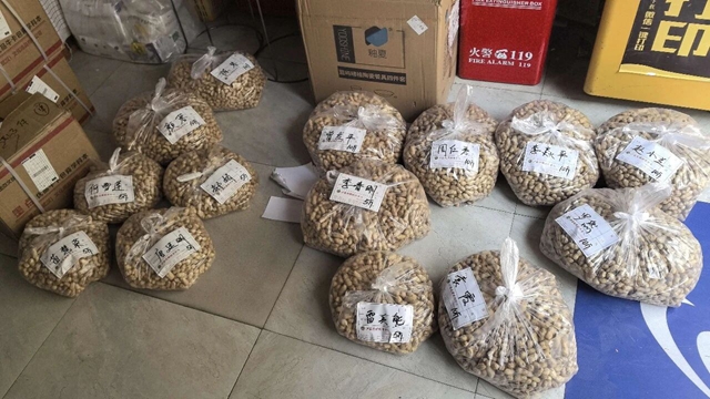 以购代捐暖民心 同心助农促振兴|民建泸县基层委开展助农帮扶活动(图2) 民2.jpg