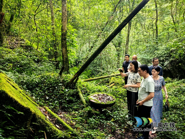 谷深承玉露 洞古蕴乾坤——合江福宝森林公园乾坤洞景区修复完善与运营提升研究(图5) 5.png