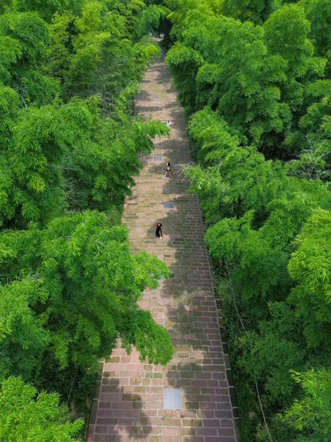 真金白银宠客!宜宾双节文旅 “大餐”已备好,快来打卡(图19) 19.jpg