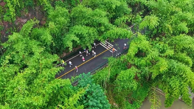 长宁11.jpg
