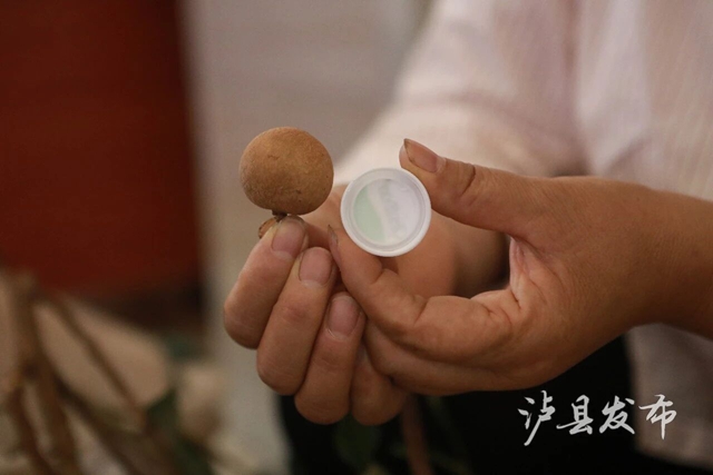 单颗22克,一串7斤!泸县龙眼“巅峰对决”结果出炉(图3) 3.jpg