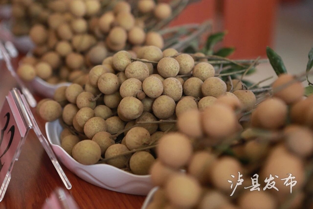 单颗22克,一串7斤!泸县龙眼“巅峰对决”结果出炉(图6) 6.jpg