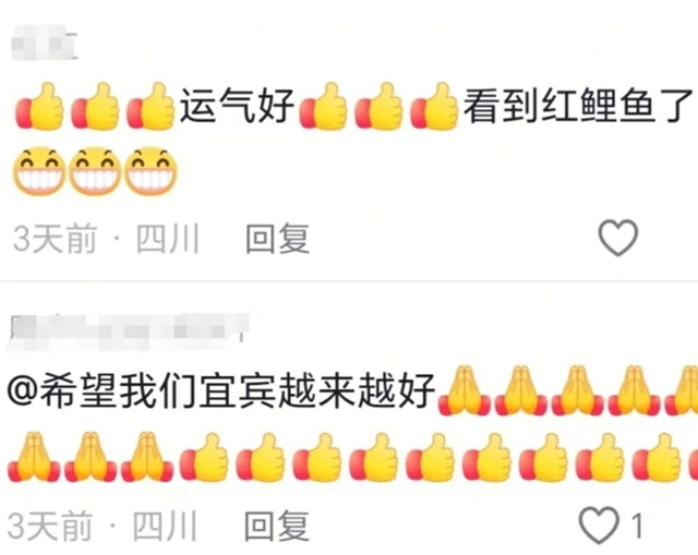 比去年还肥!宜宾合江门宠物鱼回归,红鲤鱼都游来了!(图8) 7.jpg