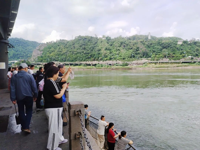 比去年还肥!宜宾合江门宠物鱼回归,红鲤鱼都游来了!(图10) 9.jpg
