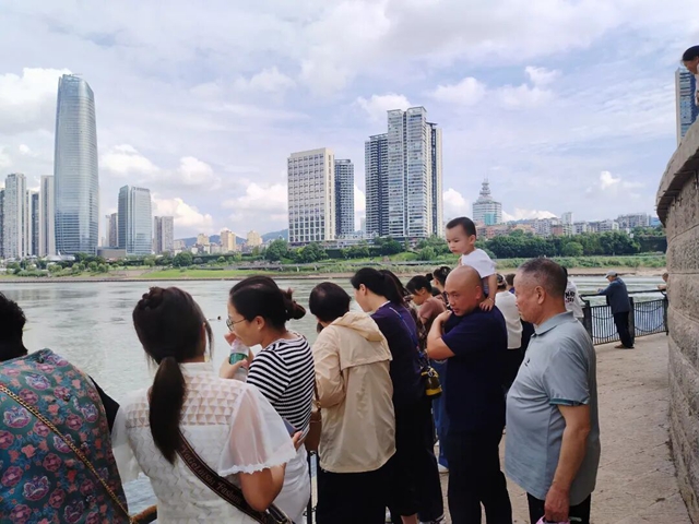 比去年还肥!宜宾合江门宠物鱼回归,红鲤鱼都游来了!(图11) 10.jpg
