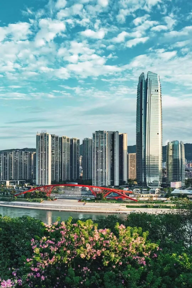 比去年还肥!宜宾合江门宠物鱼回归,红鲤鱼都游来了!(图13) 12.jpg