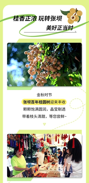 9月必冲张坝!桂圆管够,非遗市集好戏不断(图3) 3.jpg