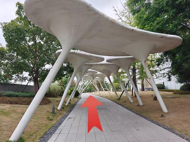 除了跑步还有啥?泸州这场省级运动会,解锁运动之外的N种玩法(图3) 步3.jpg