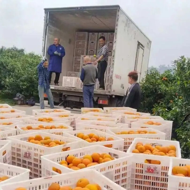藏在烟火里的田园诗意丨泸州美丽庭院系列展播①(图2) 2.jpg