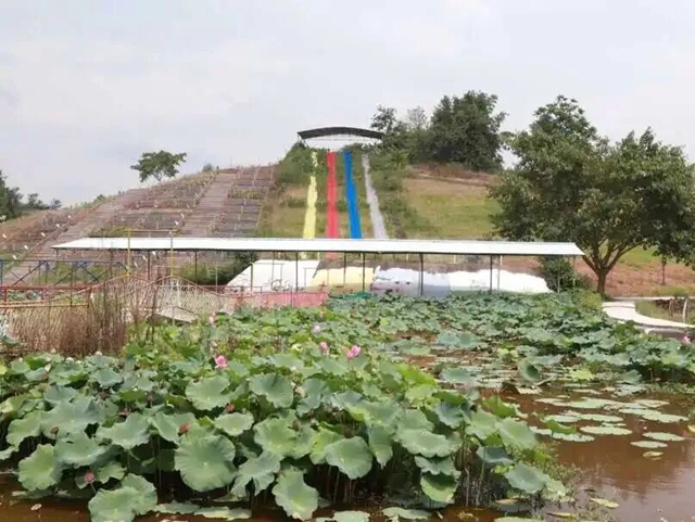 藏在烟火里的田园诗意丨泸州美丽庭院系列展播①(图19) 19.jpg