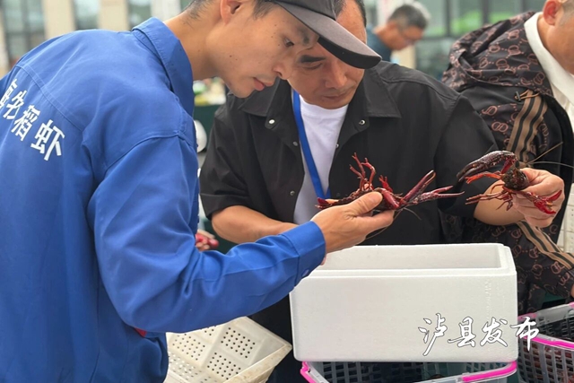 虾王虾后出炉,稻虾米飘香!泸县这场评选活动真热闹(图3) 3.jpg