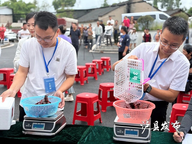 虾王虾后出炉,稻虾米飘香!泸县这场评选活动真热闹(图4) 4.jpg