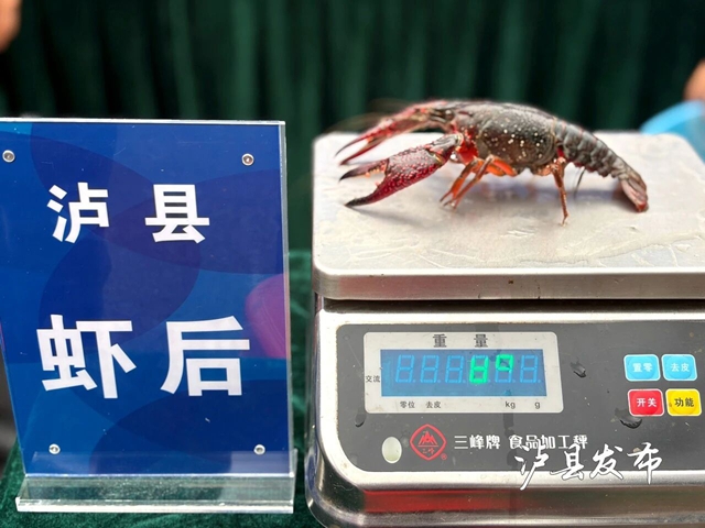 虾王虾后出炉,稻虾米飘香!泸县这场评选活动真热闹(图8) 8.jpg
