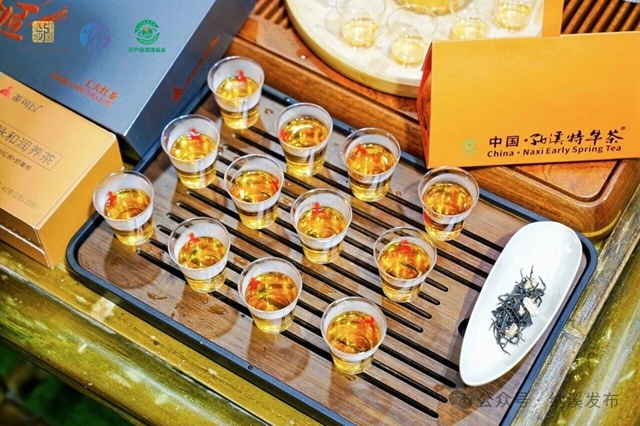 出圈!10万+关注、150万意向合作!纳溪特早茶惊艳青岛(图6) 6.jpg