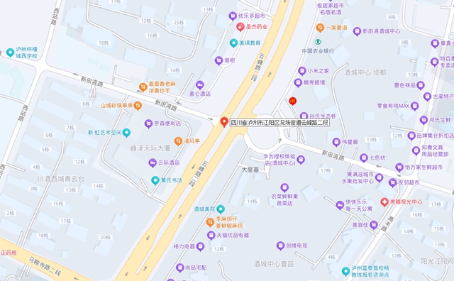 驾驶员请注意:江阳区这些路段启用交通技术监控设备→(图5) 路5.jpg