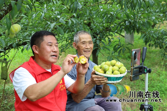 图1：钟传杰（左）直播卖李子.JPG