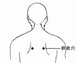 秋分过后,这些东西可以多吃!(图3) 分3.jpg