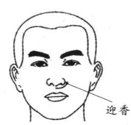 秋分过后,这些东西可以多吃!(图2) 分2.png
