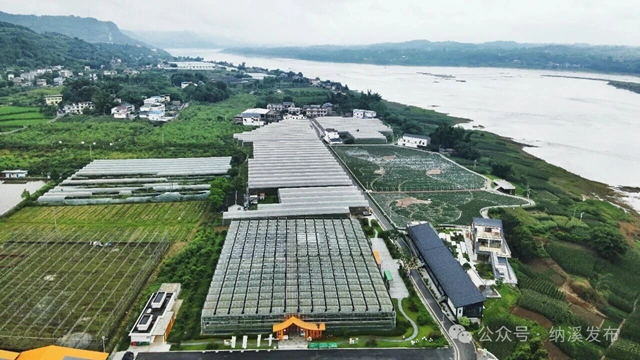 粮袋子更稳、钱袋子更鼓、新村子更美——纳溪书写乡村振兴五年答卷(图3) 山3.jpg