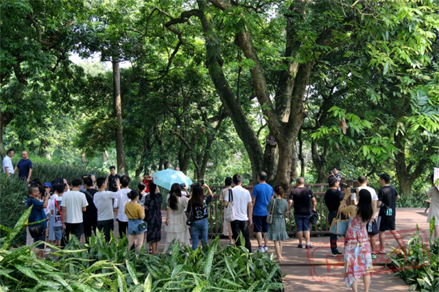 音乐节+大礼包,中秋国庆来泸州江阳“嗨”→(图4) 4.jpg