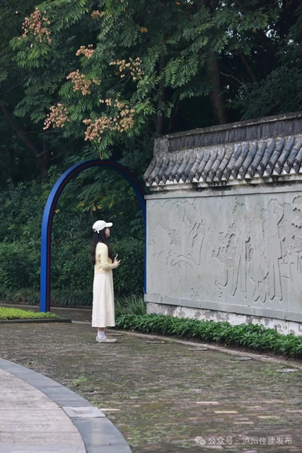 谁懂啊!泸州秋天的浪漫,栾树悄悄上大分(图5) 5.jpg