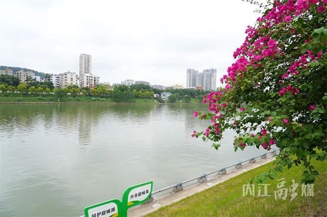 节庆氛围拉满!甜城内江盛装“上线”(图2) 内江2.jpg
