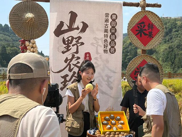 1小时100万人观看?为何古蔺丰收节直播这么火?(图3) 3.jpg