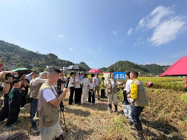 1小时100万人观看?为何古蔺丰收节直播这么火?(图5) 5.jpg