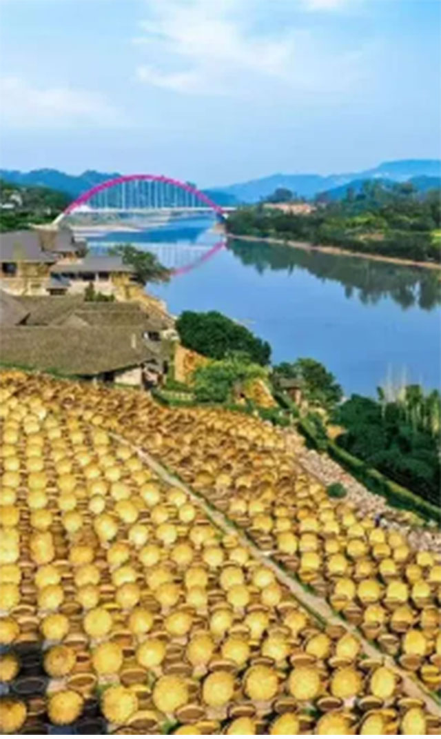 一桥跨两省!耍完合江×赤水,继续耍泸州→(图19) 19.jpg